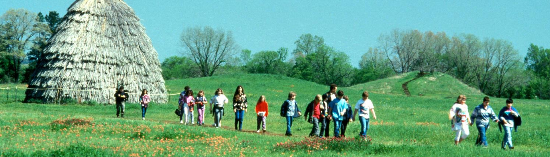 Texas History for Teachers