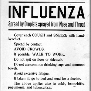 The Influenza Pandemic of 1918-1919