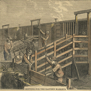 Cotton, Cattle, & Railroads: The Big Picture