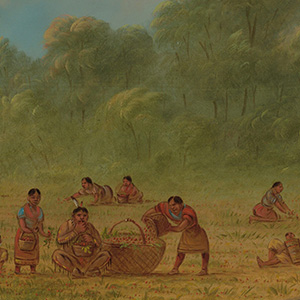 Natural Texas & Its People: The Big Picture